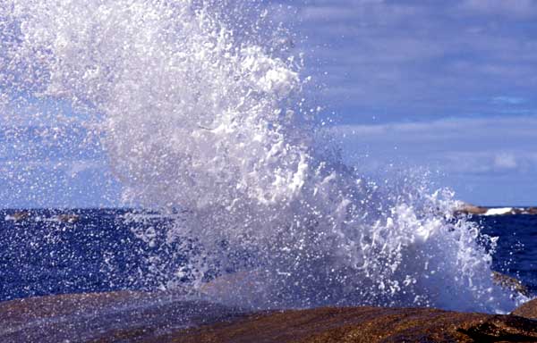 Blowhole in Bicheno