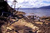 4 Felsterrasse am Huon River