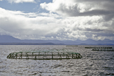 Fishfarm