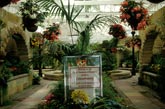 Altes Gewächshaus im Botanischen Garten